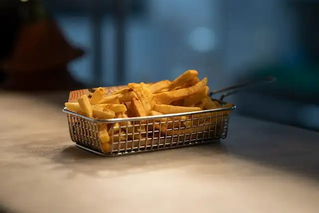 potato-fries-5579009_640